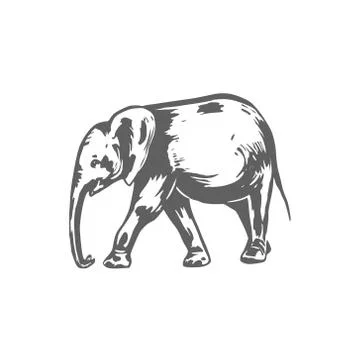 Elephant sketch vector illustration. Stock Illustration