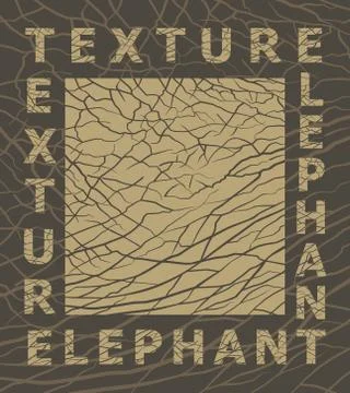 Elephant skin texture Stock Illustration