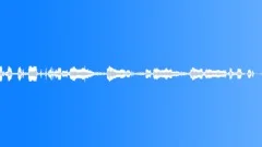 ELEPHANT Sound Effect