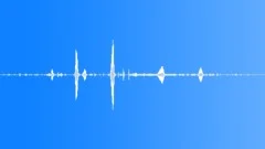 ELEPHANT Sound Effect