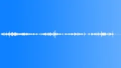 ELEPHANT Sound Effect