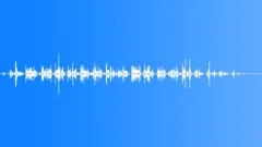 ELEPHANT Sound Effect