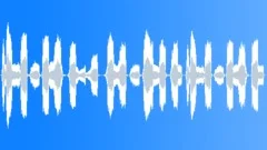 ELEPHANTSound Effect