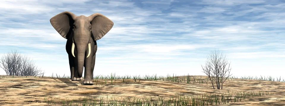 Elephant standing in the desert - 3D render Stock Illustration
