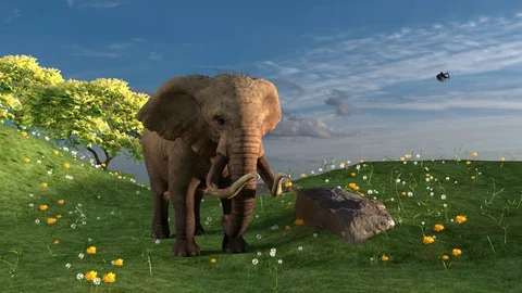 Elephant standing in a field Stock Footage 99470043