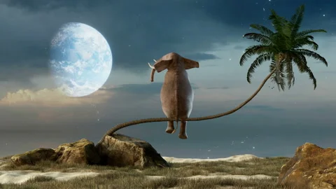 Elephant stands on thin branch of withered palm tree watching planet earth Stock Footage 212854556