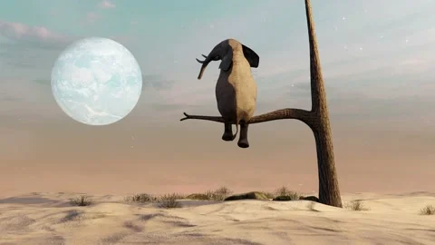 Elephant stands on thin branch of withered tree in the surreal landscape Stock Footage 217416671