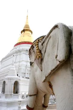 Elephant statue with che-de in wat pra kraw lampang thailand. Stock Photos