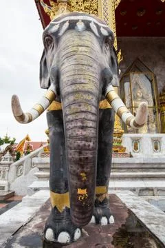 Elephant statues 库存照片