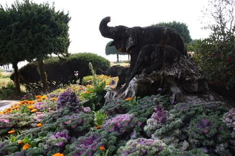 Elephant statues. Stock Photos