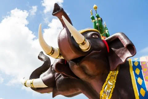 Elephant status Stock Photos