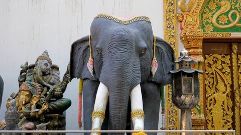 Elephant status in pua in thailad Stock Footage 104812313