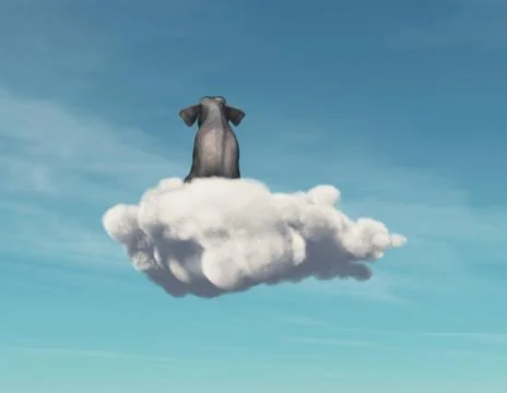 Elephant stays on a cloud. Illustrazione stock