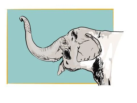 Elephant sticking out trunk Stock Illustration