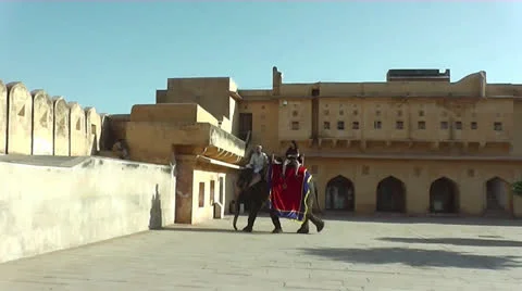 Elephant Stop.mp4 Video stock 22917939