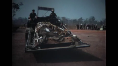 A elephant strapped on a wooden platform in net by a Forklift Truck Stock Footage