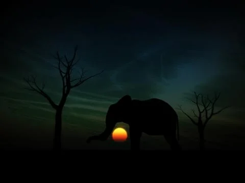 Elephant Sunrise Stock Illustration