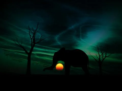 Elephant Sunrise Stock Illustration