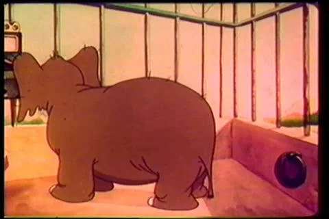 Elephant talking on pay phone Video stock 11346402