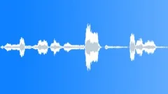 elephant trumpet sound