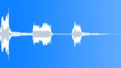 Elephant Trumpet Indian ThreeSound Effect