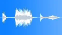 Elephant trumpeting and rumbleSound Effect