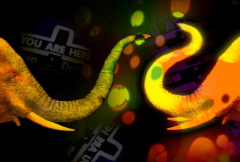 Elephant trunk Dance Stock Footage 282929