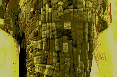 Elephant Trunk Stock Illustration