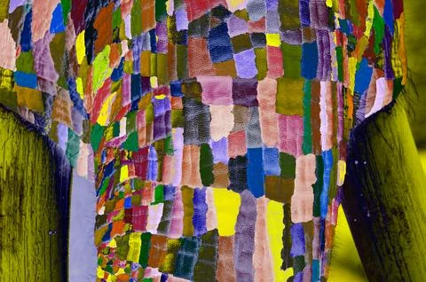 Elephant Trunk Stock Illustration