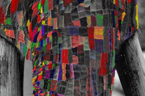 Elephant Trunk Stock Illustration