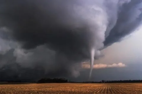 Elephant Trunk Tornado Part of Outbreak in Illinois - TIFF Stock Photos