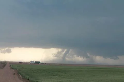 Elephant Trunk Tornado Stock Photos
