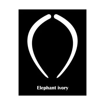 Elephant tusk icon Stock Illustration