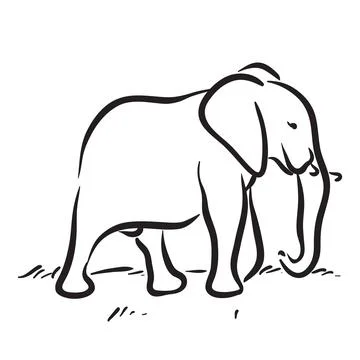 Elephant Vector Drawing Stock Illustration