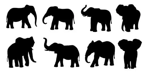 Elephant vector silhouette set isolated on white background. African animals Stock Illustration