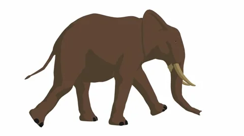 Elephant walking 動画素材 941944