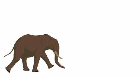 Elephant walking Stock Footage 941946