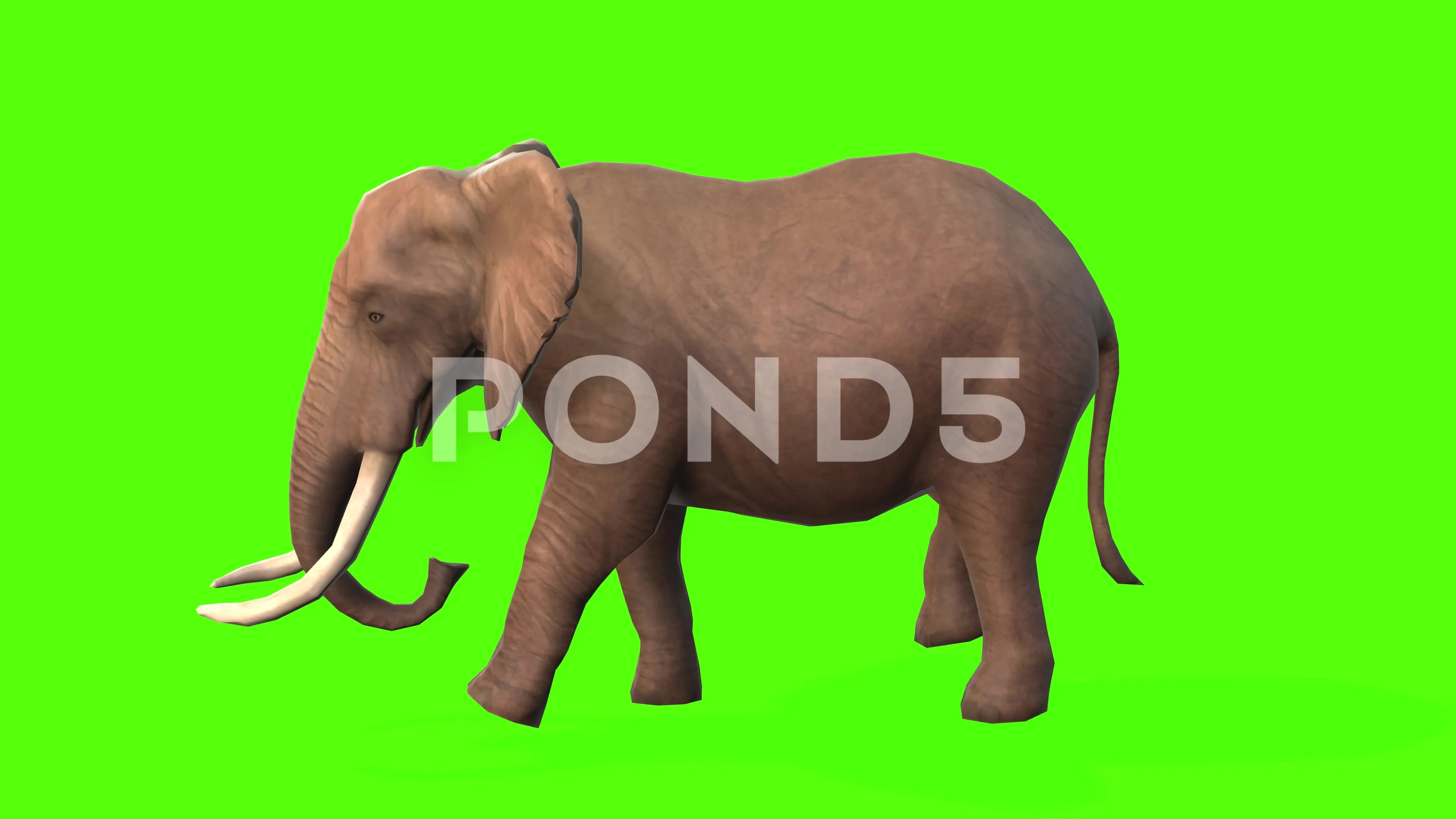 «Зелёный слон» картина Клейменовой Елены (бумага, пастель) — купить на витамин-п-байкальский.рф