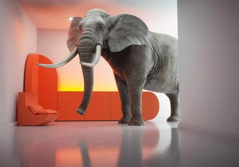 Elephant walking in the house interior. Stock Illustration