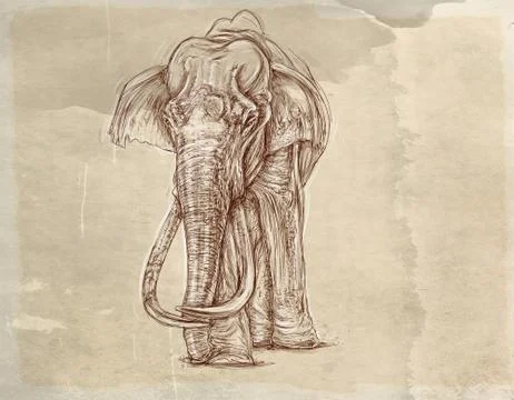 An elephant walking Stock Illustration