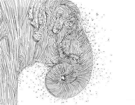 An elephant walking Stock Illustration