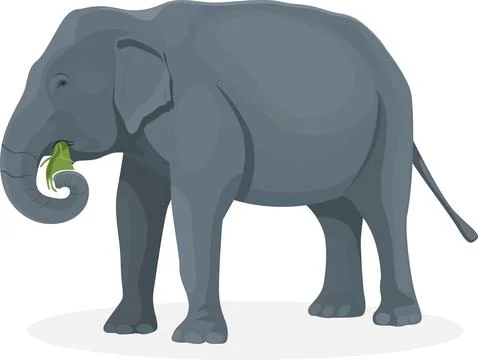 Elephant walking illustration Stock Illustration