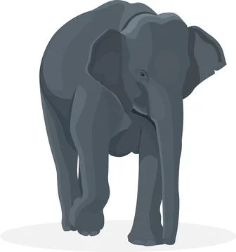 Elephant walking illustration Stock Illustration