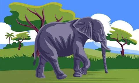 Elephant walking in jungle vector Stock Illustration