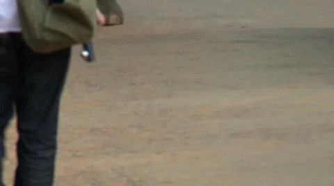 A elephant walking on a paved road Video stock 943517