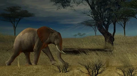 Elephant Walking Through The Jungle Stock Footage 6847468