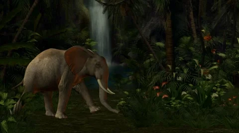 Elephant Walking Through The Jungle Stock Footage 6847551