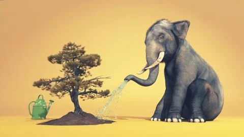 Elephant watering a tree Stock Illustration