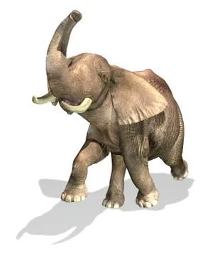 Elephant on white background. Stock Illustration