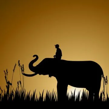 Elephant, wildlife Stock Illustration